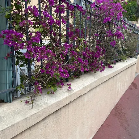 Quiet Private - 2min Train Station - 5min Palais Croisette - Private Entrance * Cannes